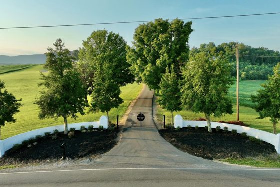 The tree-lined drive running down to the valley