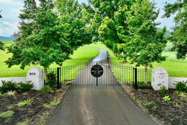 The tree-lined drive up to the gate
